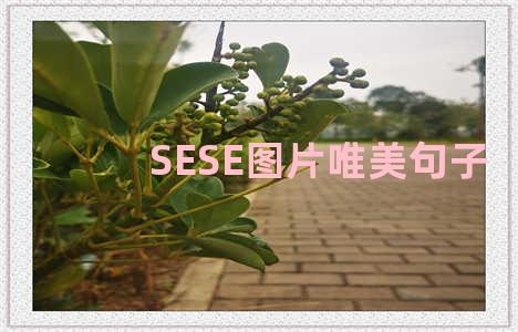 SESE图片唯美句子