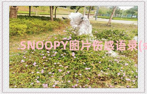 SNOOPY图片伤感语录(snoopy图片)