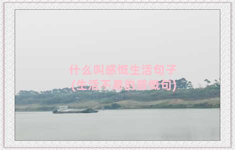 什么叫感慨生活句子(生活不易的感慨句)