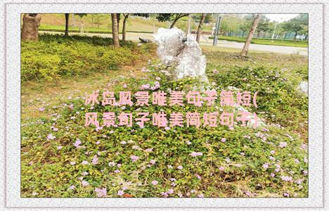 冰岛风景唯美句子简短(风景句子唯美简短句子)