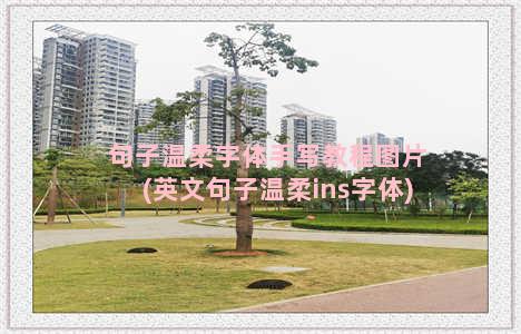 句子温柔字体手写教程图片(英文句子温柔ins字体)