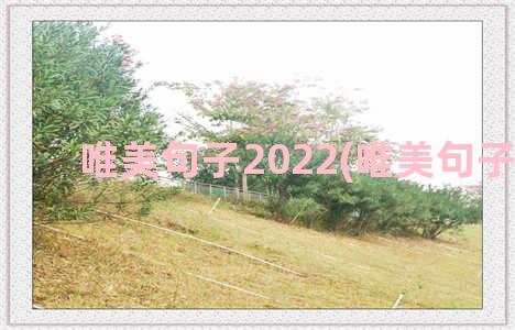 唯美句子2022(唯美句子大全)