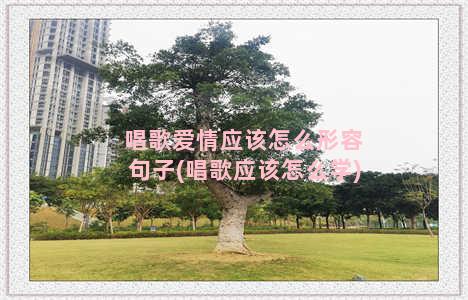 唱歌爱情应该怎么形容句子(唱歌应该怎么学)