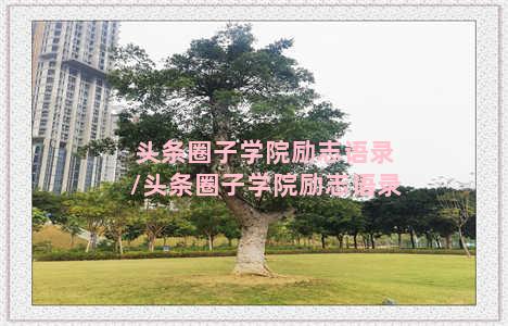 头条圈子学院励志语录/头条圈子学院励志语录