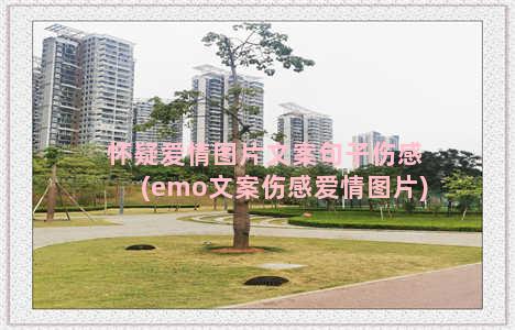 怀疑爱情图片文案句子伤感(emo文案伤感爱情图片)