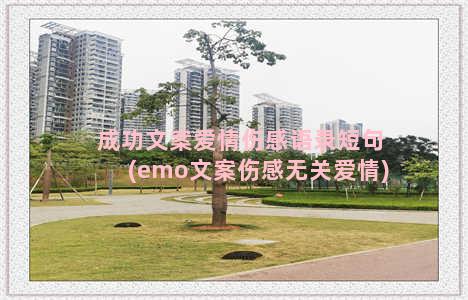 成功文案爱情伤感语录短句(emo文案伤感无关爱情)