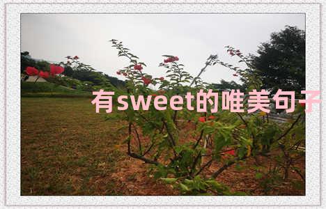 有sweet的唯美句子