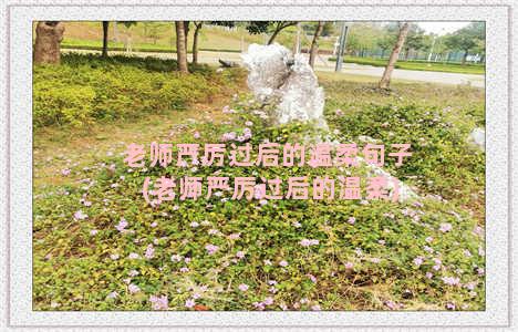 老师严厉过后的温柔句子(老师严厉过后的温柔)