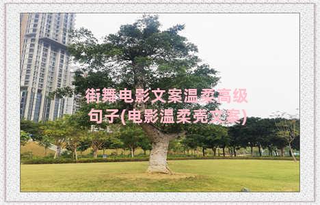 街舞电影文案温柔高级句子(电影温柔壳文案)